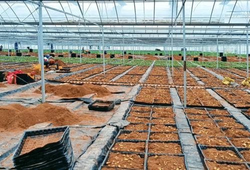 速读市委十五届二次全会暨全市经济工作会议报告