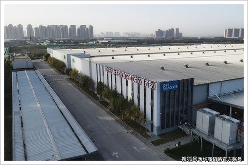 阿里重投入“最先一公里” 助力乡村振兴进入深水区 覆盖全国电商