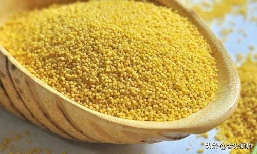 小米这样吃，蒸一炒香比肉还诱人