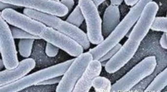 关于深入开展2016年全国安全用药月活动的通知