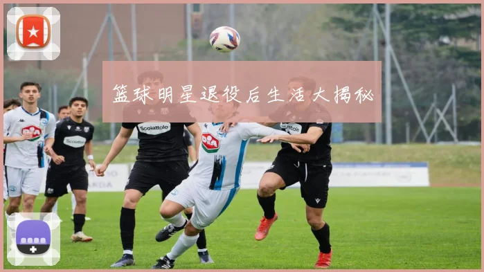 篮球明星退役后生活大揭秘
