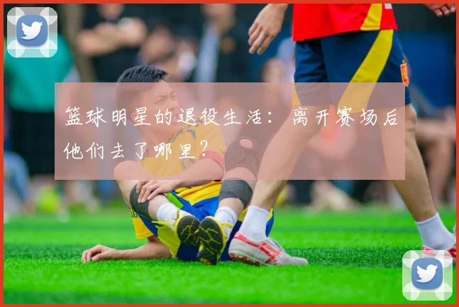篮球明星的退役生活:离开赛场后他们去了哪里?