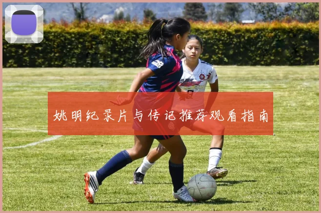 姚明纪录片与传记推荐观看指南