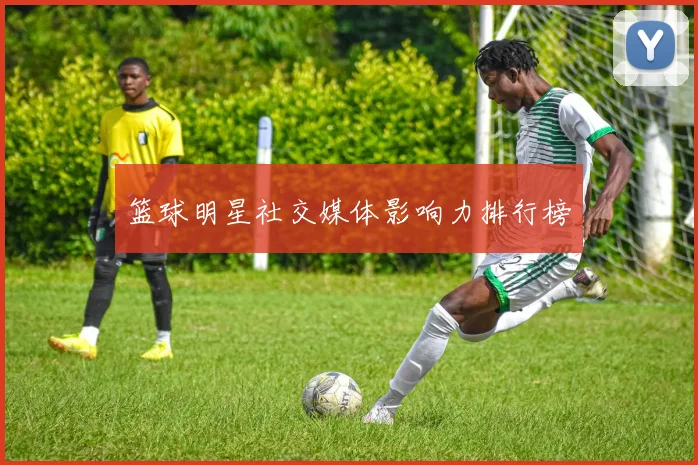 篮球明星社交媒体影响力排行榜