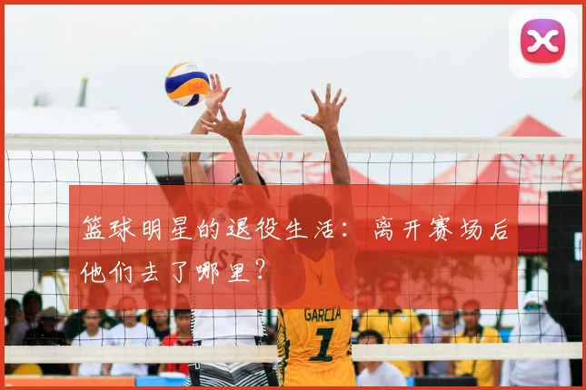 篮球明星的退役生活：离开赛场后他们去了哪里？
